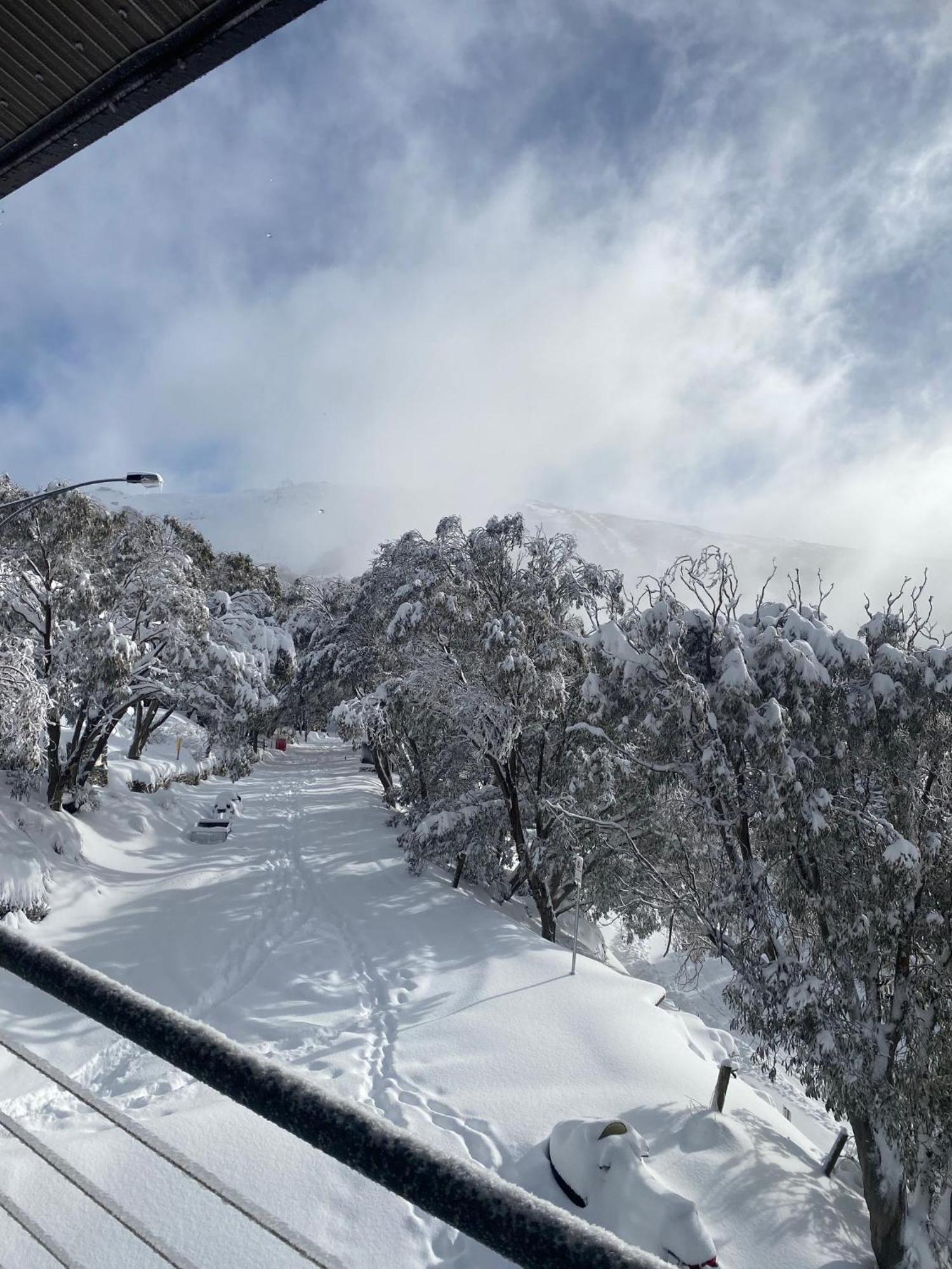 Alpine Woodsmoke Apartments Falls Creek Zewnętrze zdjęcie